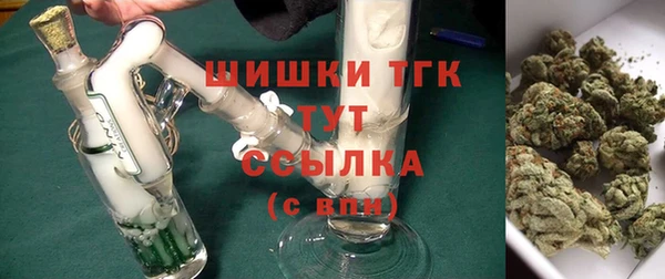 эйфоретик Арсеньев